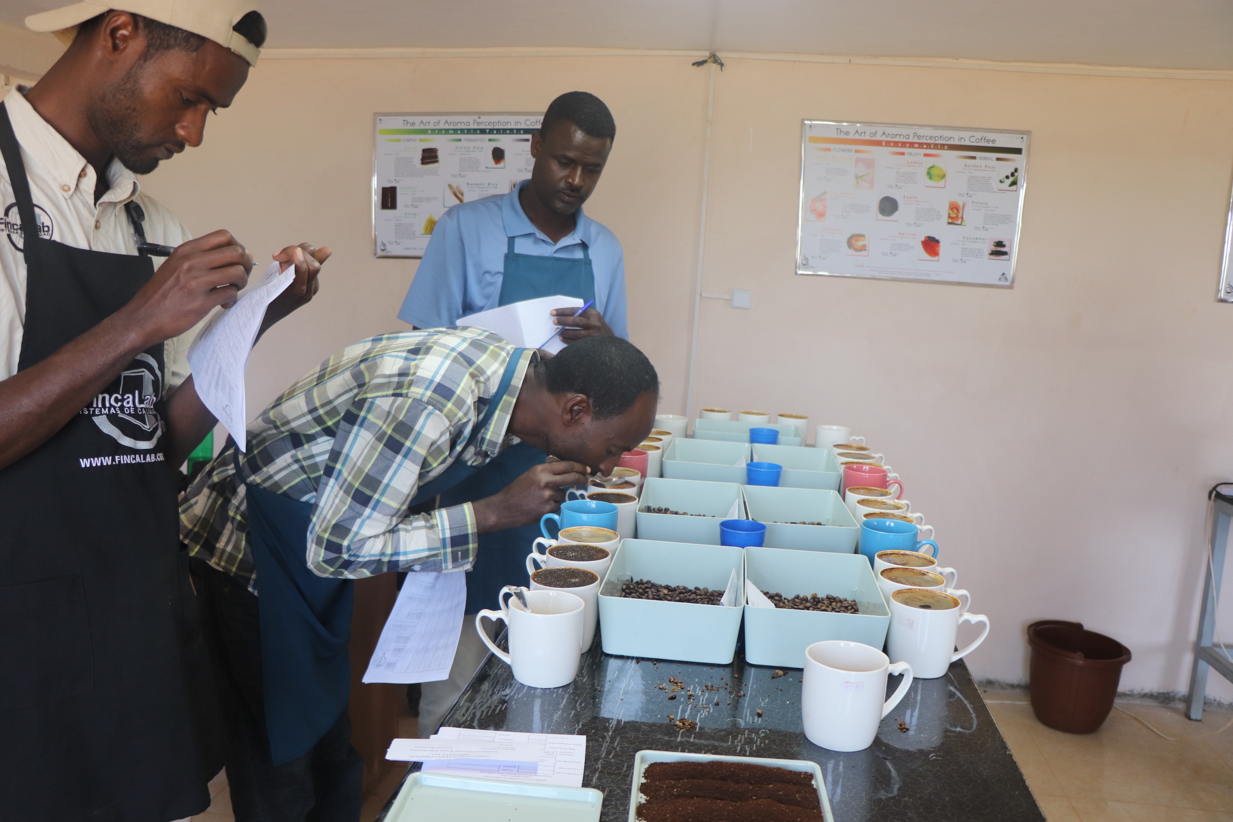 The Asikana cupping lab in Aira